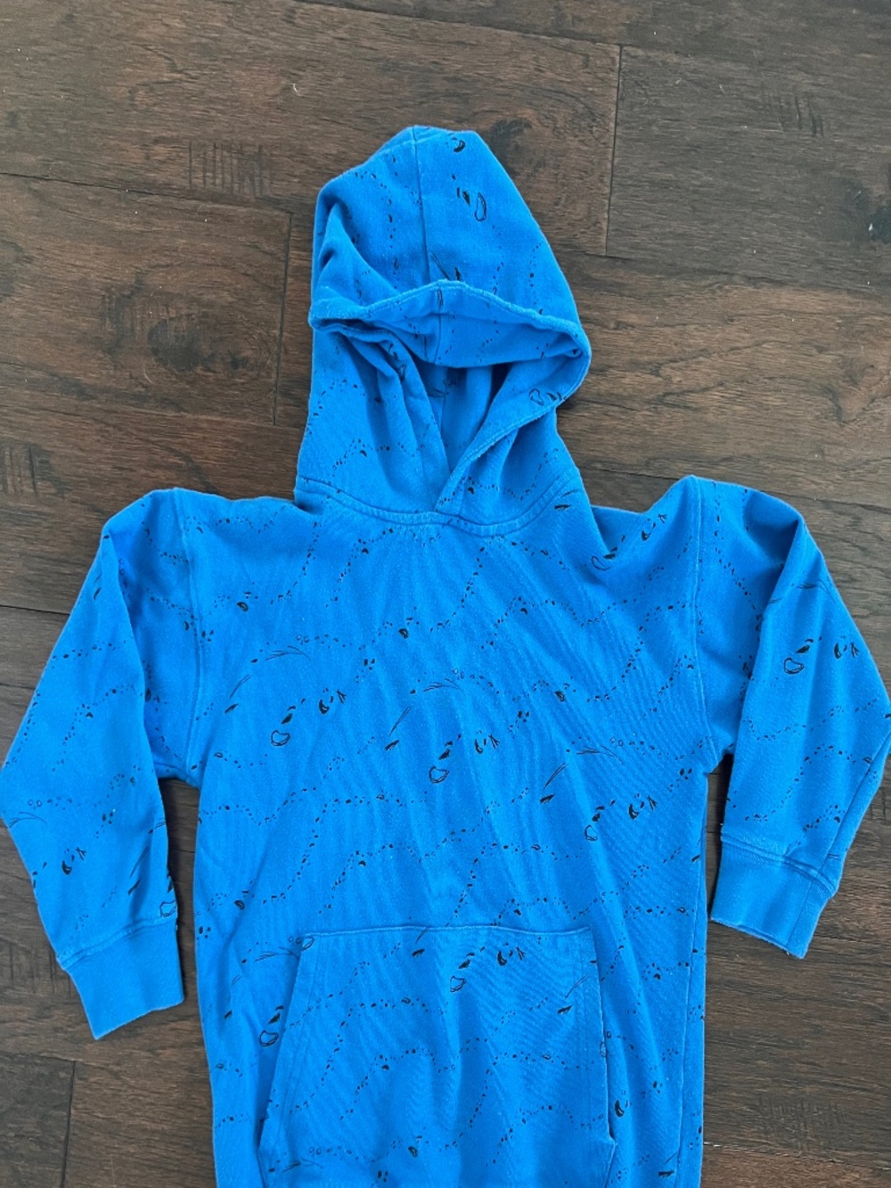 Blue Lewis Hoodie. Size 10Y. 100% Organic Cotton